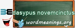 WordMeaning blackboard for dasypus novemcinctus